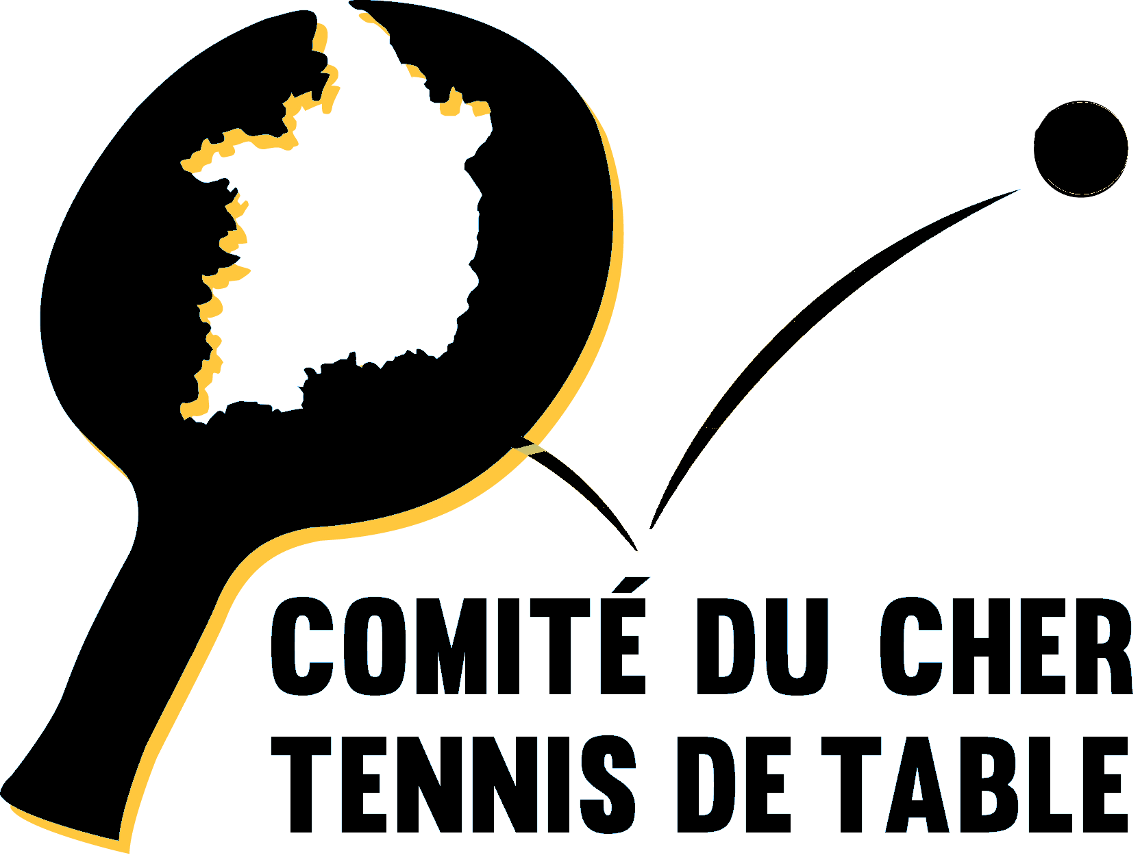 cdtt18 noir logo transparent